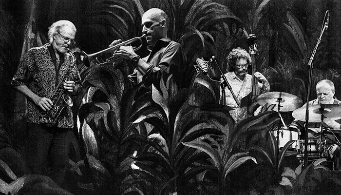 Donat_fisch_Quartett_3MB_tt